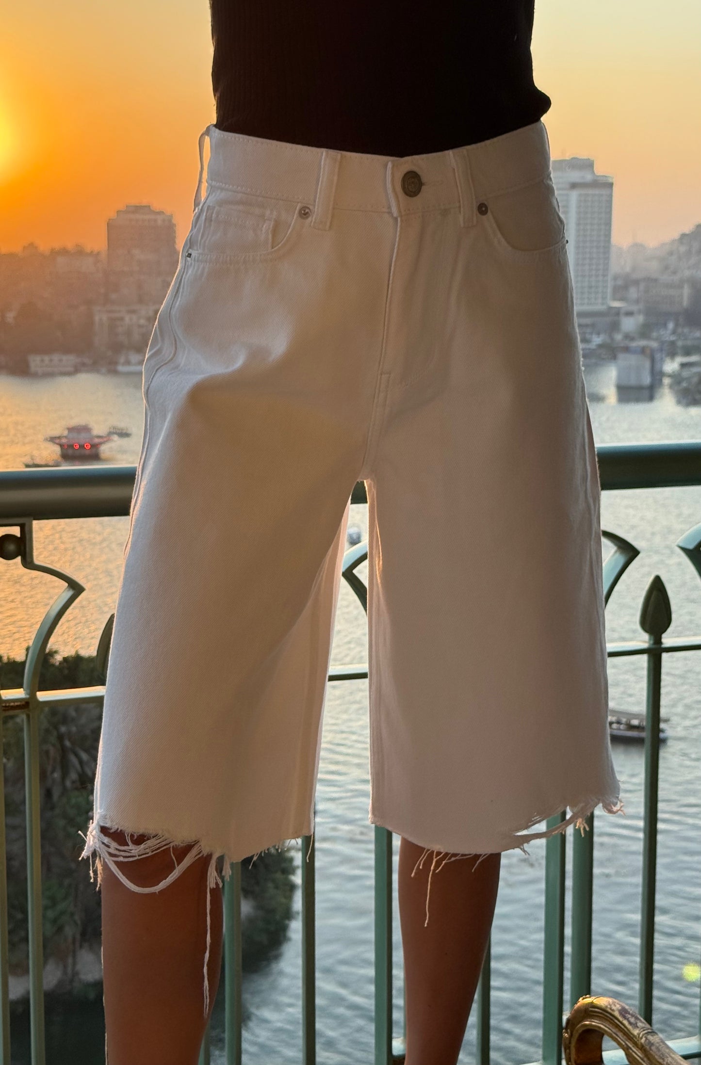 The Refray Shorts